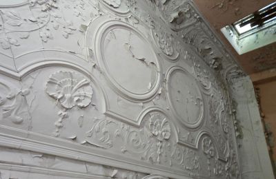 Dwór na sprzedaż Wroniniec, Dolnośląskie,, Zdjęcie 2/6