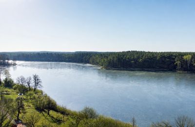 Dwór na sprzedaż 66-300 Bobowicko, Lubuskie, Zdjęcie 6/14