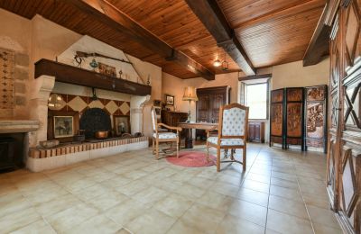 Zabytkowa nieruchomość na sprzedaż Uzès, Oksytania, Zdjęcie 8/14
