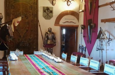 Zamek na sprzedaż Narros de Saldueña, Teniente Cecilio López 48, Kastylia i León, Zdjęcie 13/20