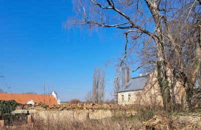 Pałac na sprzedaż Ronov nad Doubravou, Moravany  1, okres Chrudim, Zdjęcie 16/17