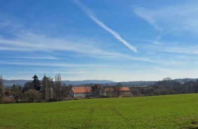 Pałac na sprzedaż Ronov nad Doubravou, Moravany  1, okres Chrudim, Zdjęcie 17/17