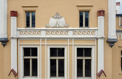 Pałac na sprzedaż Narok, Opolskie, Detale architektoniczne
