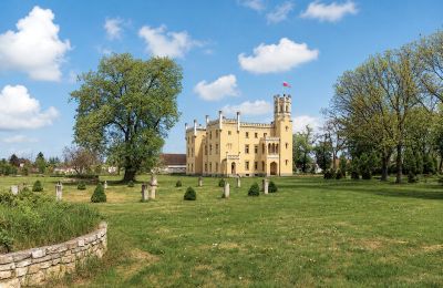 Pałac na sprzedaż Narok, Opolskie, Park