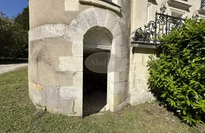 Pałac na sprzedaż La Roche-Posay, Nowa Akwitania, Zdjęcie 41/41