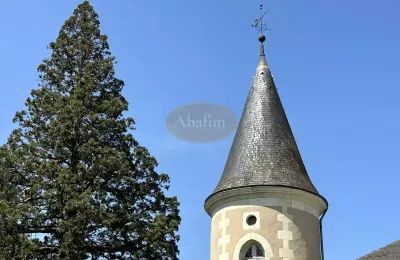 Pałac na sprzedaż La Roche-Posay, Nowa Akwitania, Zdjęcie 40/41
