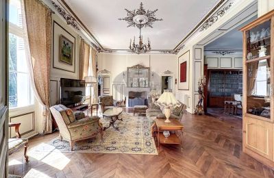 Pałac na sprzedaż La Roche-Posay, Nowa Akwitania, Zdjęcie 8/41