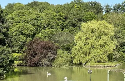 Pałac na sprzedaż La Roche-Posay, Nowa Akwitania, Zdjęcie 38/41