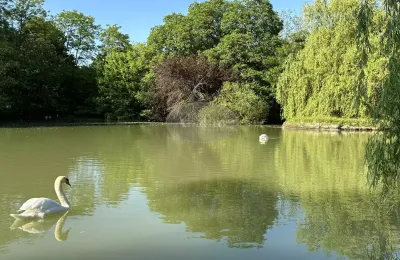 Pałac na sprzedaż La Roche-Posay, Nowa Akwitania, Zdjęcie 37/41