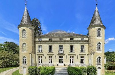 Pałac La Roche-Posay, Nowa Akwitania