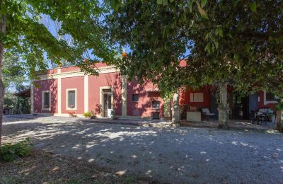 Wiejski dom na sprzedaż Francavilla Fontana, Apulia, Zdjęcie 4/30