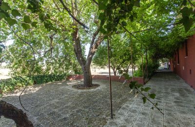 Wiejski dom na sprzedaż Francavilla Fontana, Apulia, Zdjęcie 20/30