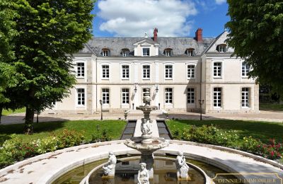 Pałac Provins, Île-de-France