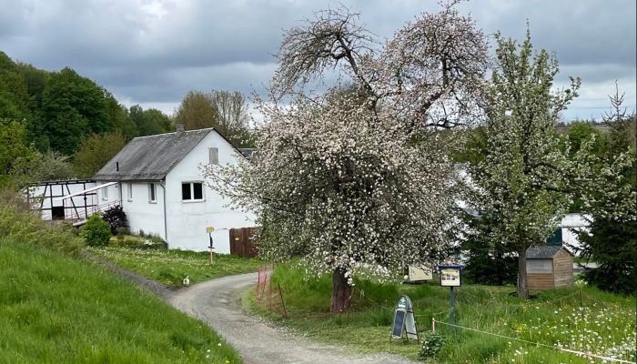  Schleiz 3