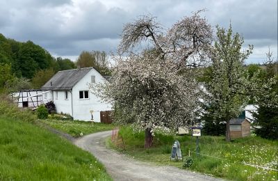 Zabytkowa nieruchomość na sprzedaż 07907 Schleiz, Turyngia, Wjazd