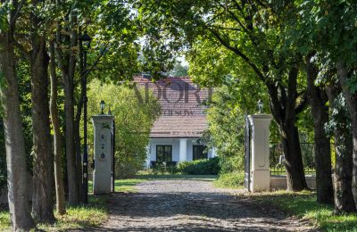 Dwór na sprzedaż Trębki Nowe, Mazowieckie, Zdjęcie 1/16