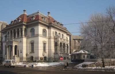 Zabytkowa willa na sprzedaż Craiova, Bd. Nicolae Titulescu 4, Dolj, Zdjęcie 18/43