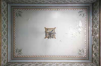 Zabytkowa willa na sprzedaż Craiova, Bd. Nicolae Titulescu 4, Dolj, Zdjęcie 5/43