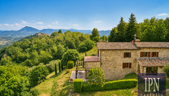 Montone 3