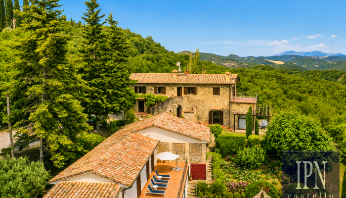  Montone 4