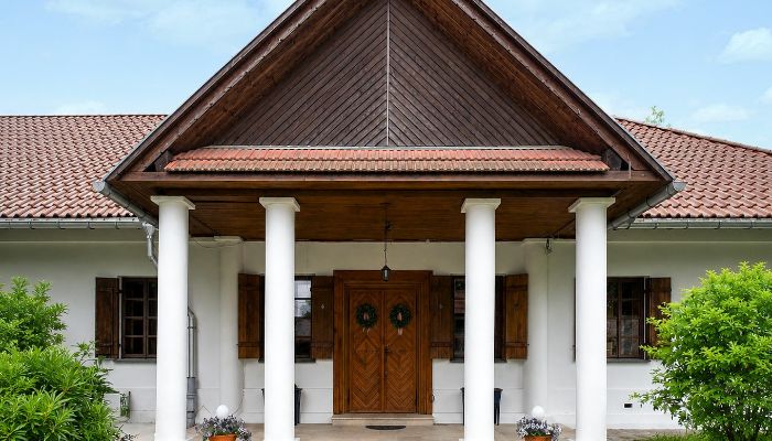 Wyjątkowy zespół willowy, zaciszny teren