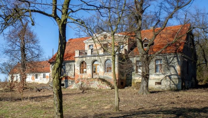 Dwór na sprzedaż Rogów Wołowski, Dolnośląskie