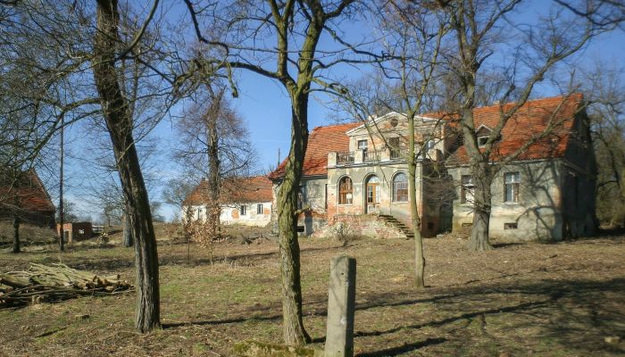  Rogów Wołowski 3