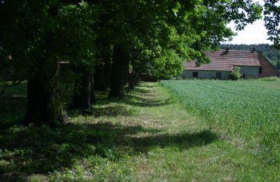 Dwór na sprzedaż Rogów Wołowski, Dolnośląskie, Zdjęcie 20/25