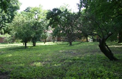 Dwór na sprzedaż Rogów Wołowski, Dolnośląskie, Zdjęcie 19/25