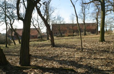 Dwór na sprzedaż Rogów Wołowski, Dolnośląskie, Zdjęcie 10/25