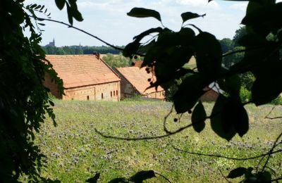 Dwór na sprzedaż Rogów Wołowski, Dolnośląskie, Zdjęcie 6/25