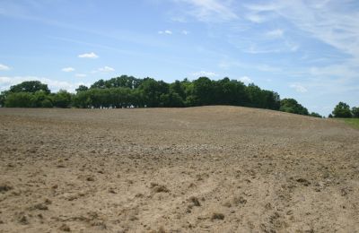 Dwór na sprzedaż Rogów Wołowski, Dolnośląskie, Zdjęcie 17/25