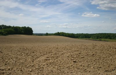 Dwór na sprzedaż Rogów Wołowski, Dolnośląskie, Zdjęcie 18/25