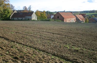 Dwór na sprzedaż Rogów Wołowski, Dolnośląskie, Zdjęcie 9/25
