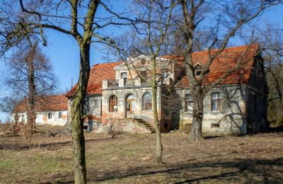 Dwór na sprzedaż Rogów Wołowski, Dolnośląskie, Zdjęcie 1/25