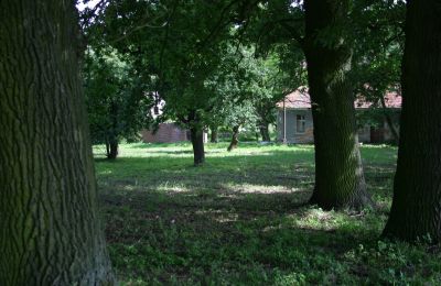 Dwór na sprzedaż Rogów Wołowski, Dolnośląskie, Zdjęcie 21/25
