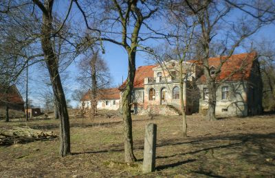 Dwór na sprzedaż Rogów Wołowski, Dolnośląskie, Budynek główny