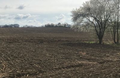 Dwór na sprzedaż Rogów Wołowski, Dolnośląskie, Zdjęcie 16/25