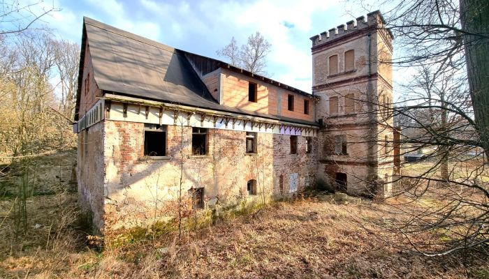 Zabytkowa willa na sprzedaż Staniszów, Dolnośląskie