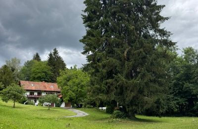 Dom wiejski na sprzedaż Styria, Zdjęcie 3/24