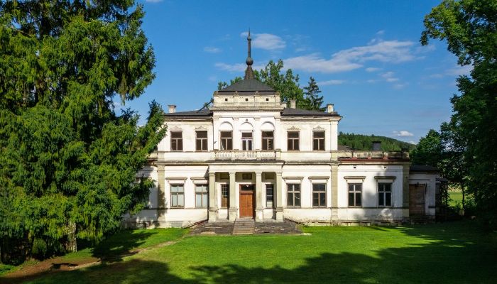 Pałac na sprzedaż Sancygniów, Świętokrzyskie