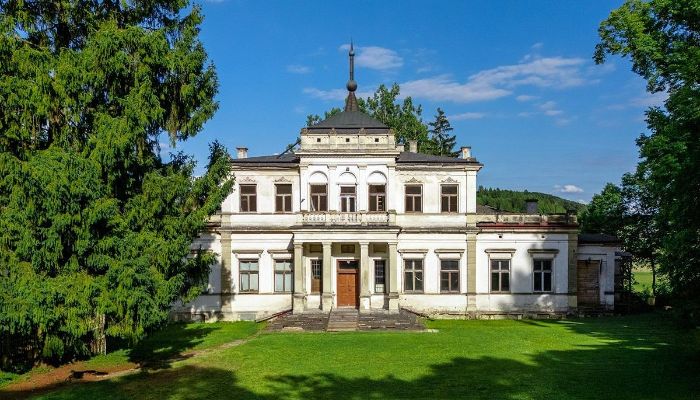 Pałac na sprzedaż Sancygniów, Świętokrzyskie