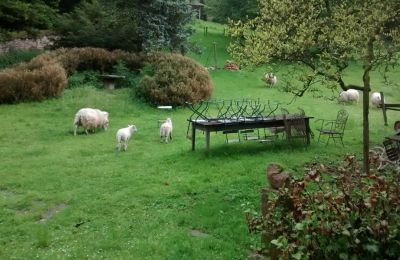 Dwór na sprzedaż Lure, Rue Kleber 8, Burgundia-Franche-Comté, Zdjęcie 32/60