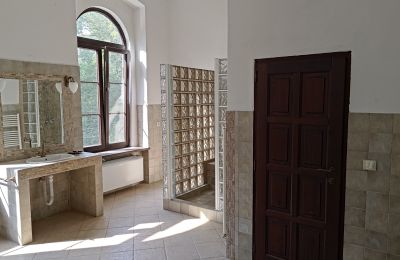 Dwór na sprzedaż Kovarce, Parková 3, Kraj nitrzański, Zdjęcie 9/16