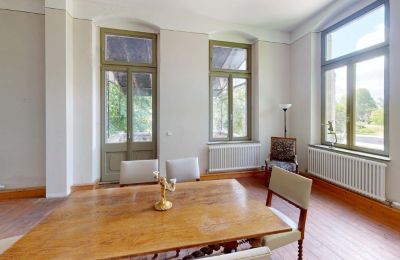 Dwór na sprzedaż Elsteraue, Bornitzer Weg 01, Saksonia-Anhalt, Ein-Herrenhaus-mit-Seele-Geschichte-Charakter-und-auergewohnliche-Perspektiven (34)