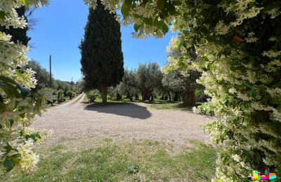 Zabytkowa willa na sprzedaż 06061 Castiglione del Lago, localita croce 2, Umbria, Zdjęcie 32/38