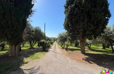 Zabytkowa willa na sprzedaż 06061 Castiglione del Lago, localita croce 2, Umbria, Zdjęcie 5/38