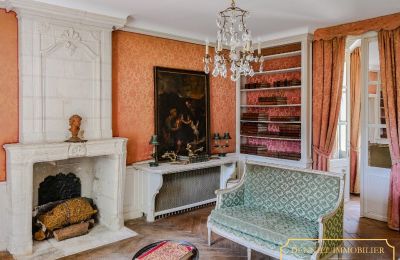 Pałac na sprzedaż Chenonceaux, Region Centre-Dolina Loary, Zdjęcie 10/32