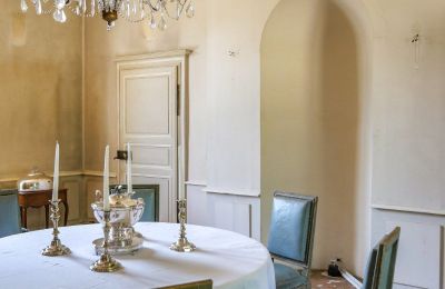 Pałac na sprzedaż Chenonceaux, Region Centre-Dolina Loary, Zdjęcie 13/32