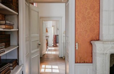 Pałac na sprzedaż Chenonceaux, Region Centre-Dolina Loary, Zdjęcie 11/32